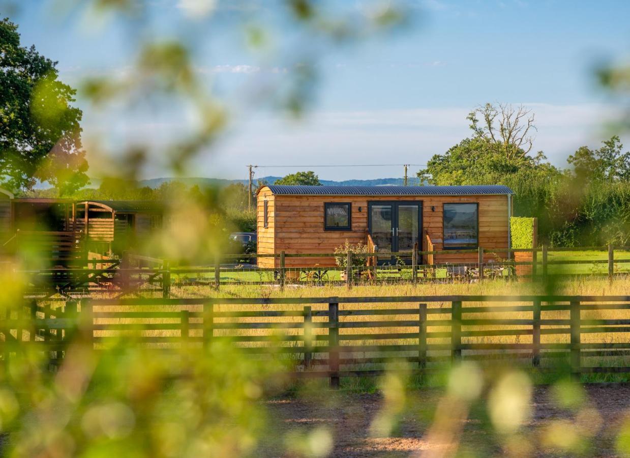 Campsite Abberley Shepherds Hut - Ockeridge Rural Retreats *