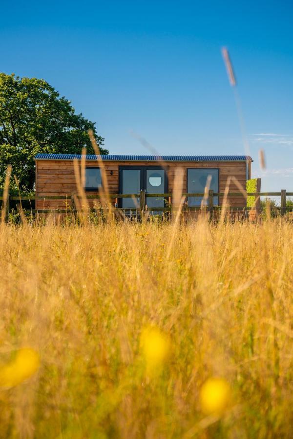 Campsite Abberley Shepherds Hut - Ockeridge Rural Retreats