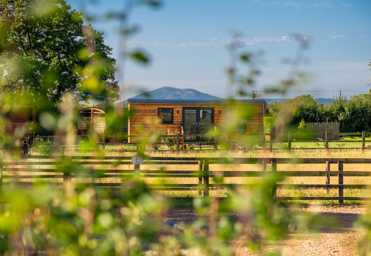 Campsite Abberley Shepherds Hut - Ockeridge Rural Retreats *